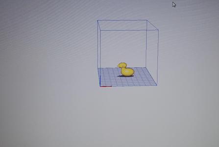 giocattolo a forma di anatra