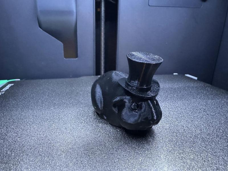 Guinea Pig (with Top Hat)