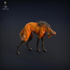 Maned Wolf