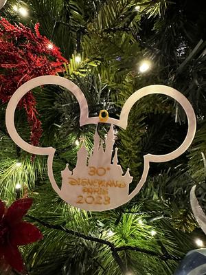 disneyland paris 30° anniversary Xmas coaster
