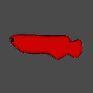 The Red Fish