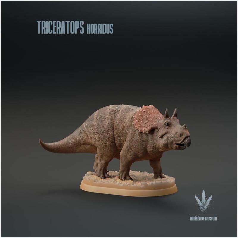 Triceratops horridus : Baby Triceratops