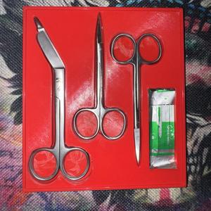 Scissor organiser
