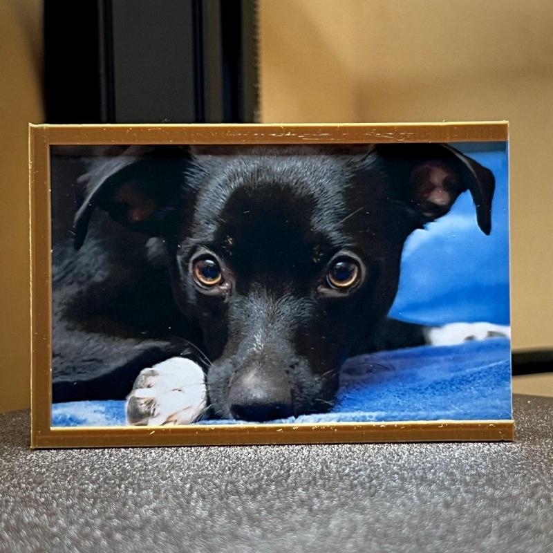 Photo frame for KODAK Mini 2 Retro P210R (5.3x8.6cm)