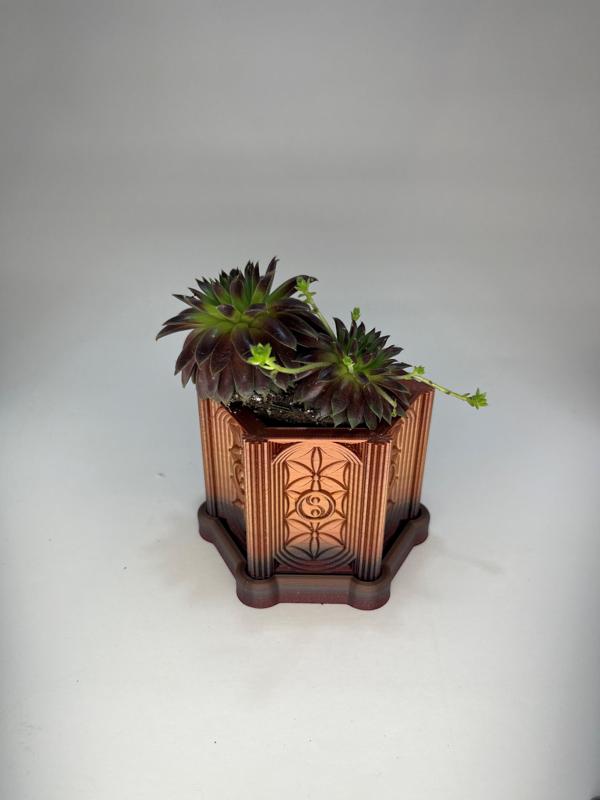 Flower of Yin-Yang Succulent Planter