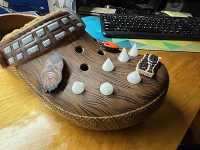 Croc Spikes