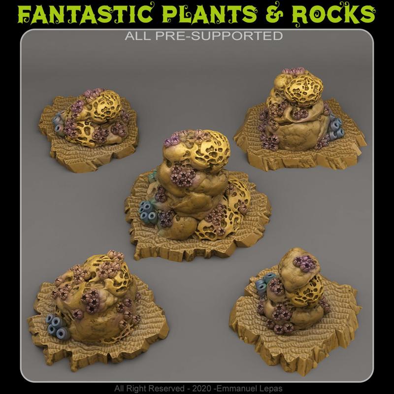 UNDERWATER SPONGE ROCKS