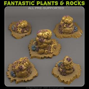 UNDERWATER SPONGE ROCKS