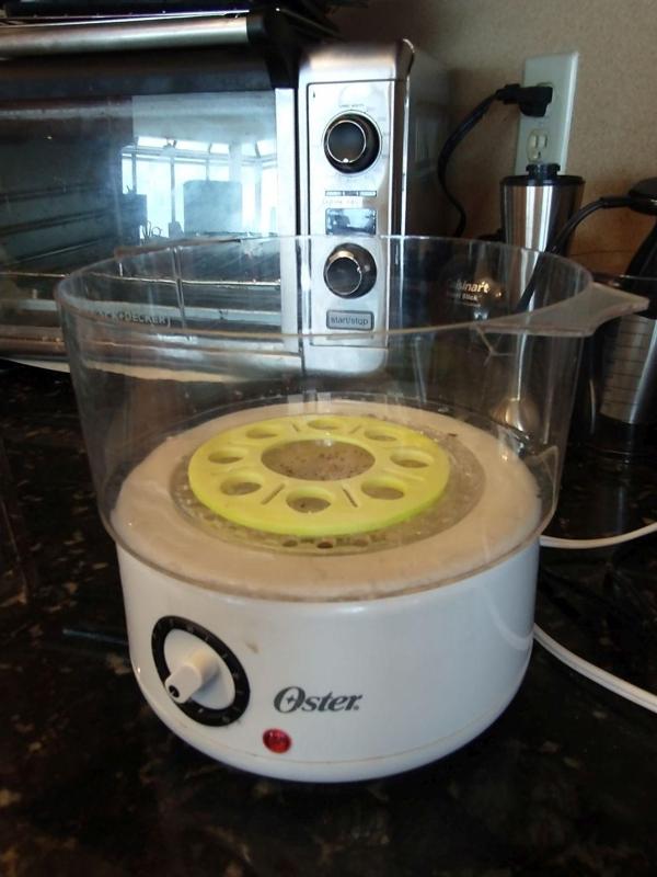 Steamer Egg Holder & Trivet