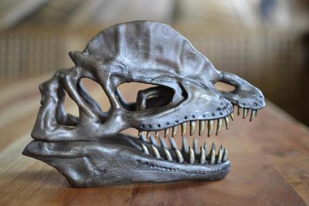 Dilophosaurus skull