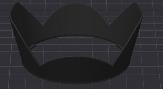 Canon 18-55 STM lens Hood