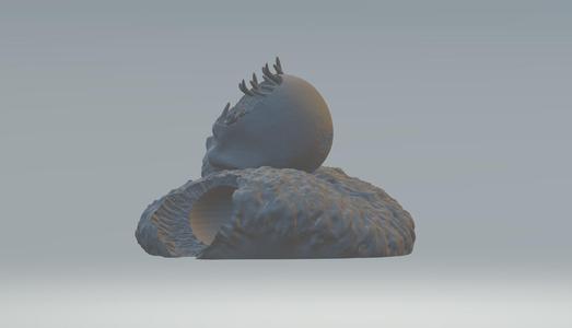 skull on coral - decoration