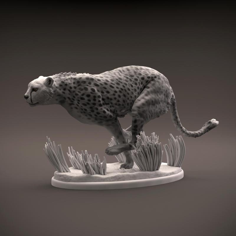 Cheetah running