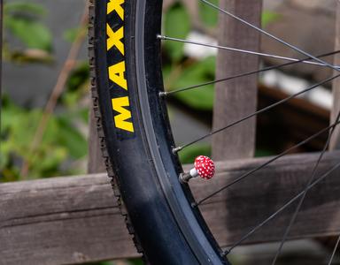 Mushroom Bike Valve Cap