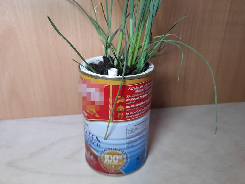 Self-watering Planter Can insert