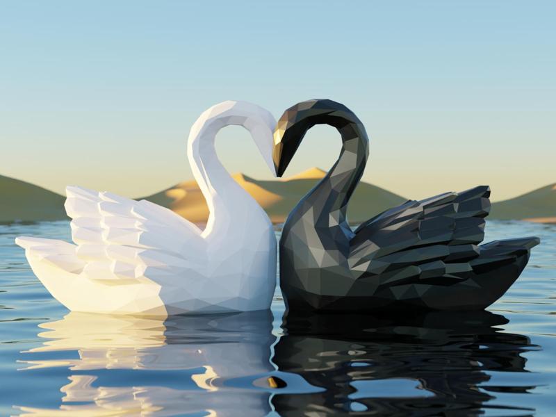 Valentine nuzzling Swan Couple