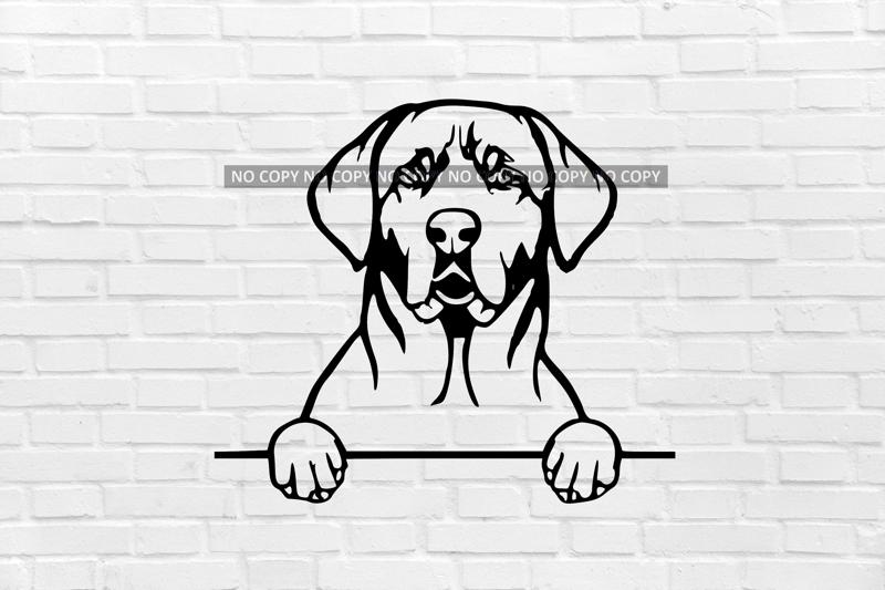 broholmer dog wall decoration