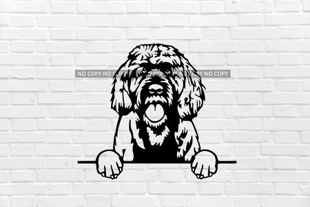 wall decoration dog Portuguese water dog