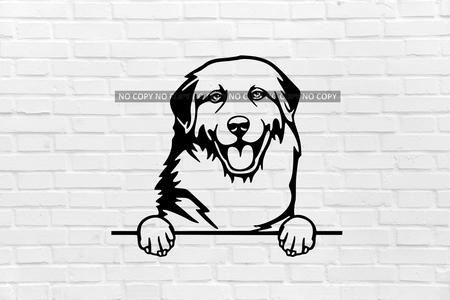 wall decoration dog Patou Pyrenean mountain dog