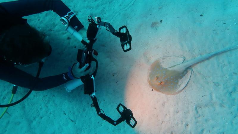 External light for underwater photography (For Olympus TG-6)