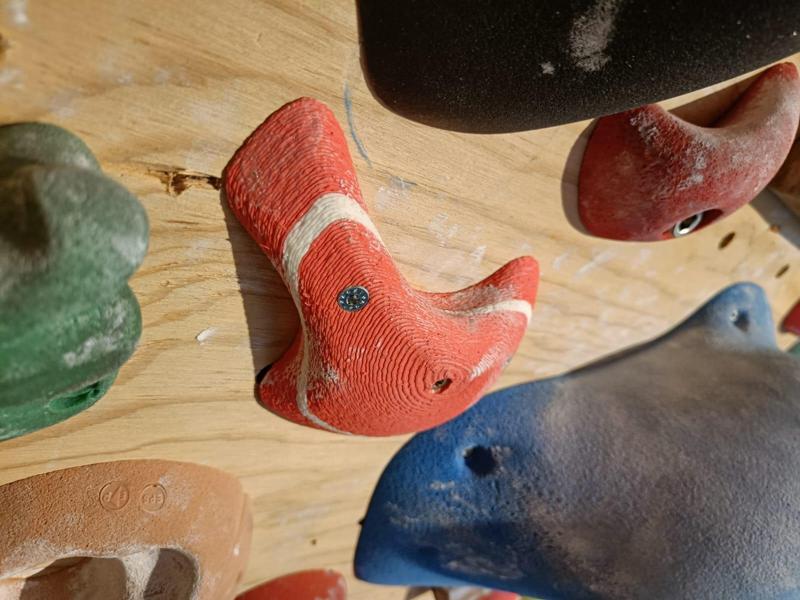 The Full Send Set - 100+ climbing holds