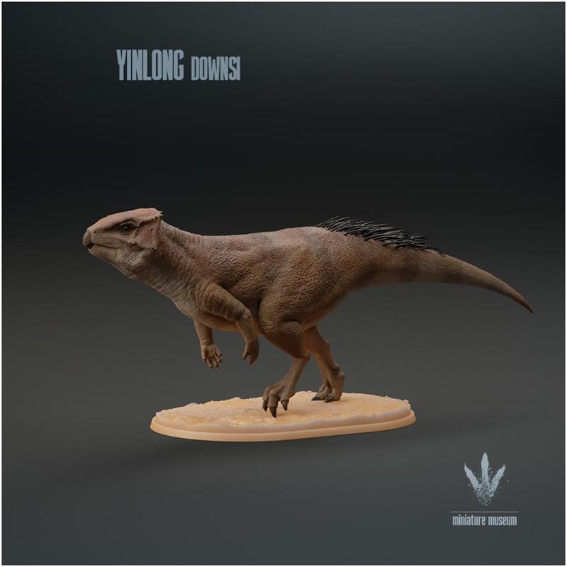 Yinlong downsi : Walking