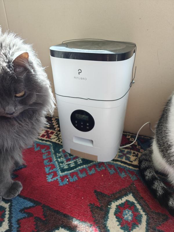 PETLIBRO PLAF001 food dish blank insert