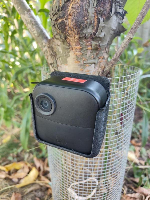 Blink Outdoor 4 Holder/Mount