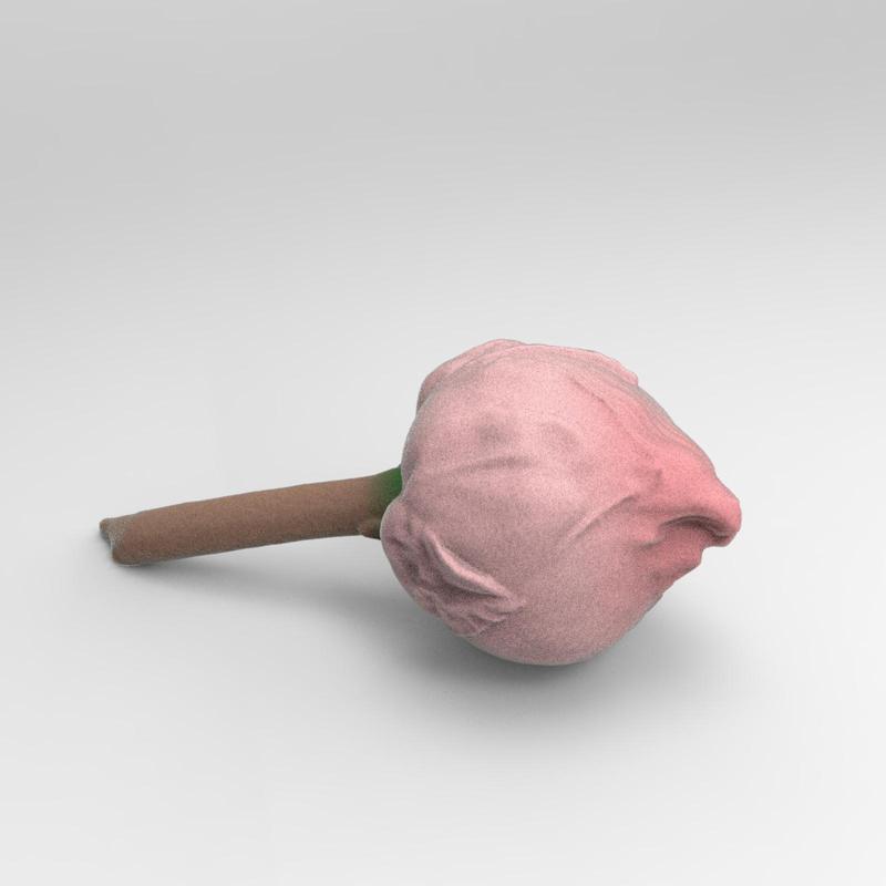 Lotus flower（generated by Revopoint POP）