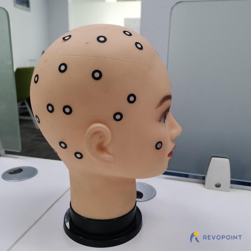 RUBBER HEAD MODEL（GENERATED BY REVOPOINT POP）