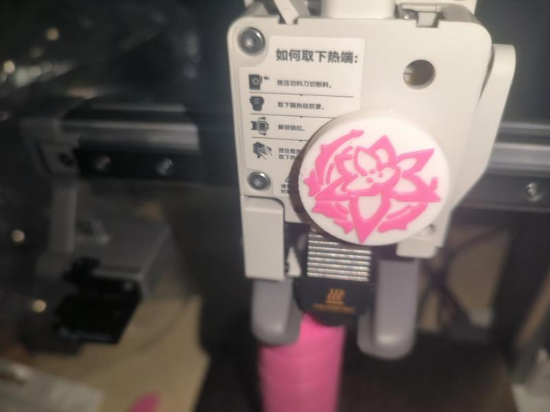 A1mini Elysia True Self Engraved Extruder Logo