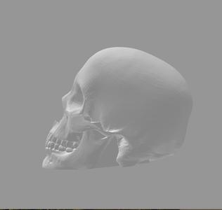 Skull Totenkopf Schaltknauf
