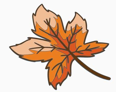 Maple Leaf Multi Color
