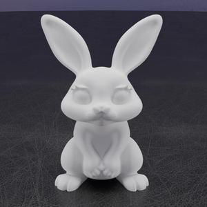 Sweet Bunny