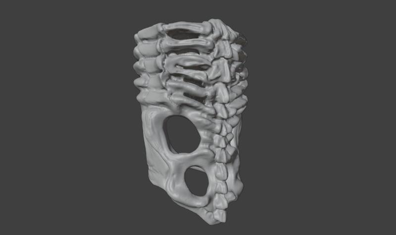 Papa V Perpetua Bolo Tie Ribcage Slip