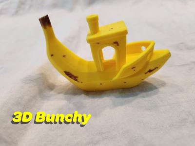 The 3D Bunchy