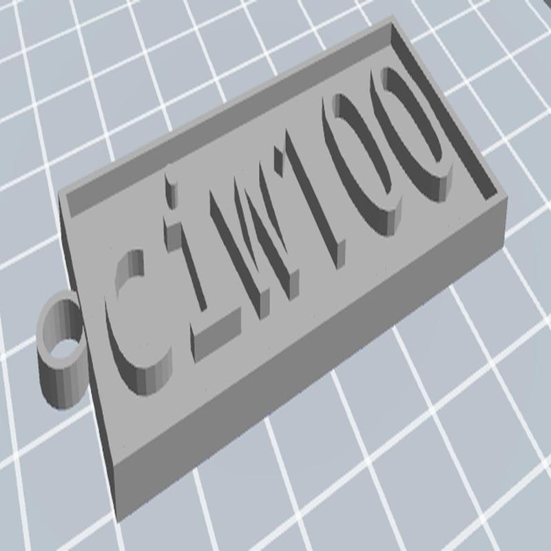 ciw100 keychain