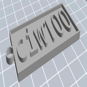 ciw100 keychain