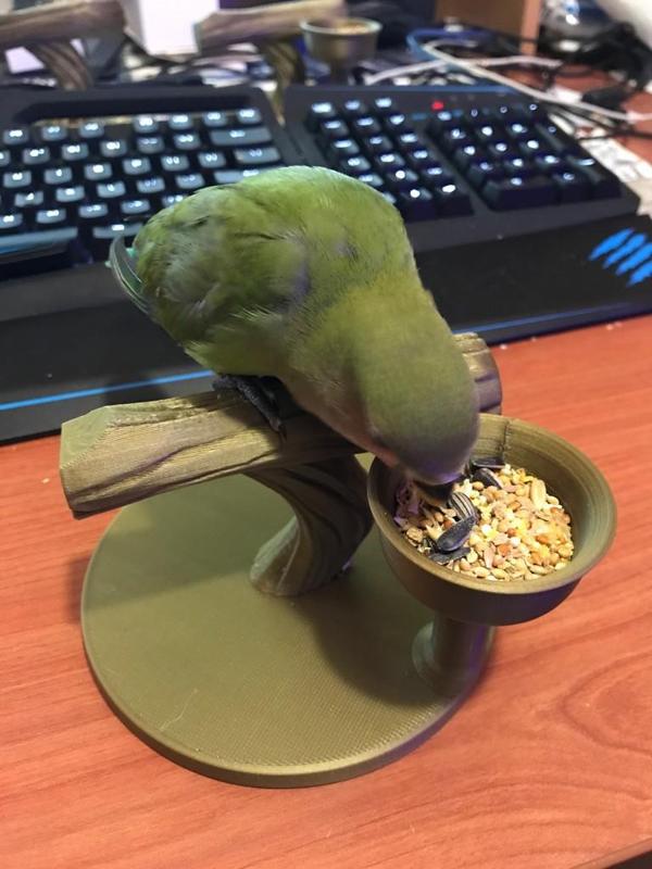 Bird stand with feed