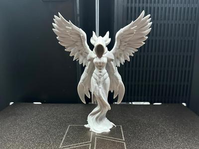 Angel of Shadows