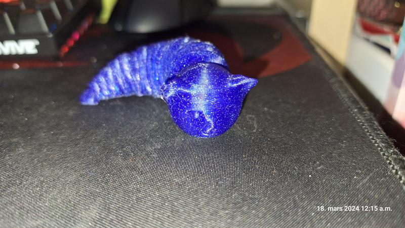 Articulated Cat slug