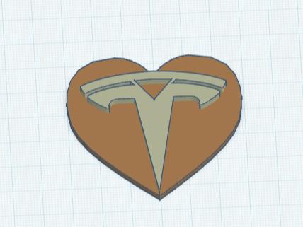 Tesla Logo in a Hearth