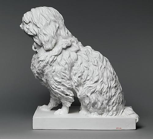 Musette, a Maltese dog