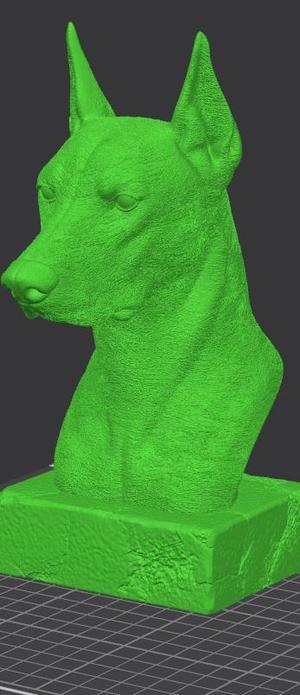 Doberman Bust
