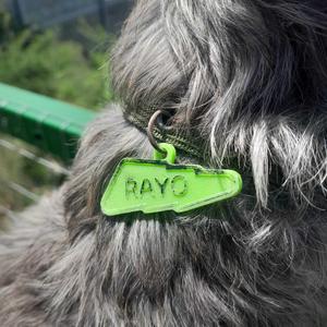 Dog collar tag in the shape of a lightning bolt - Customizable