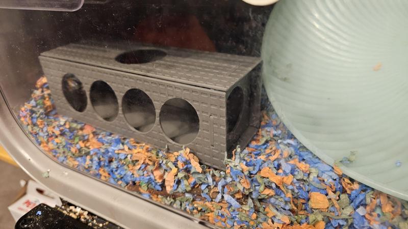 Hamster Tunnel