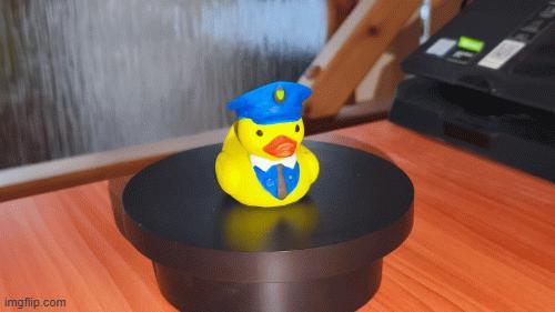 police duck