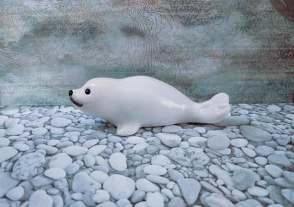 Seal baby 01