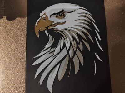 aquila