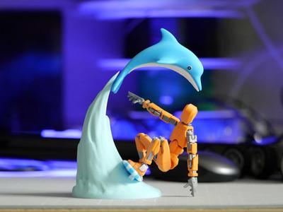 Surfing with Dolphins